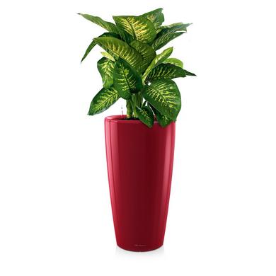 RONDO 32 scarlet red high-gloss